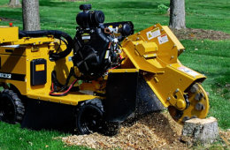 Stump Grinding, waihi,coromandel,BOP,Waikato