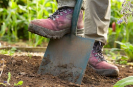 Garden Work