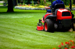 lawn mowing waihi