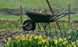 Garden work